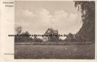 Ansichtskarte: Steegen - 1930 - Ostseebad Steegen - Birkenrand - Haus - Wohnhaus - Otto Lukas - Freie Stadt Danzig 1920�1939 - Danziger Niederung - Starke / Dresden - Wpr. - Westpreussen - Stegna - Gdansk  ...