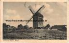 Ansichtskarte: Steegen - Ostseebad Steegen - M�hle - Danziger Niederung - sp�ter Freie Stadt Danzig 1920�1939 - FDGB - Scharnau Meyer Adelsberg am Bogen Chemnitz - Wpr. - Westpreussen - Stegna - Gdansk  ...