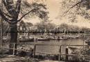 Ansichtskarte: Warnem�nde - Boote - Ostseebad Warnem�nde - DDR Bezirk Rostock - 1959 nach Rosenbeck Eichhorst Schorfheide Slomski - Hansestadt Rostock  ...